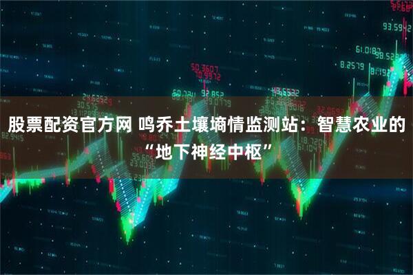 股票配资官方网 鸣乔土壤墒情监测站：智慧农业的“地下神经中枢”