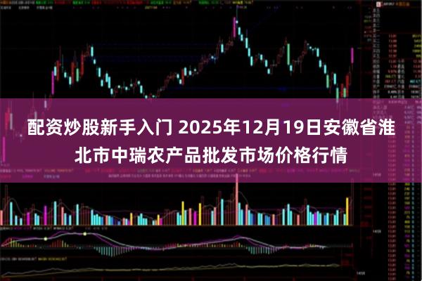 配资炒股新手入门 2025年12月19日安徽省淮北市中瑞农产品批发市场价格行情